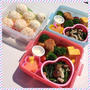 この春初のお弁当
