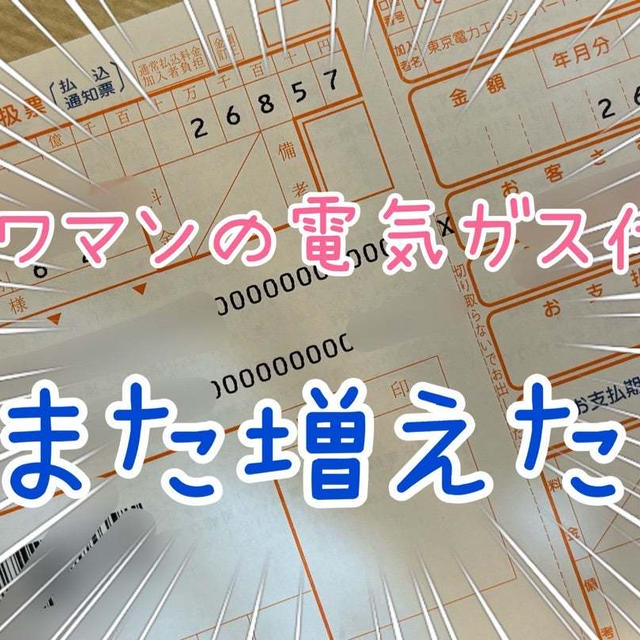 タワマン暮らしの恐怖の電気ガス代２月の請求金額