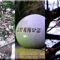 ◆プリプリエビのふんわり卵炒め♪～生姜たっぷりの桜エビ振りかけ♪