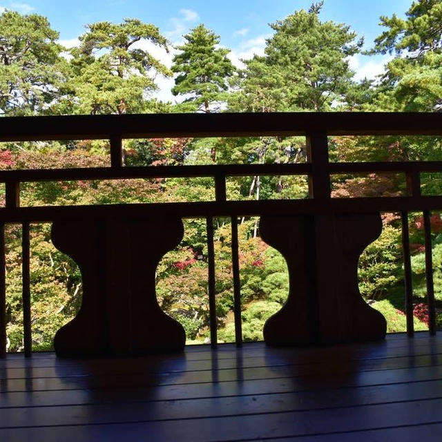 はじまったばかりの旧齋藤家別邸の紅葉