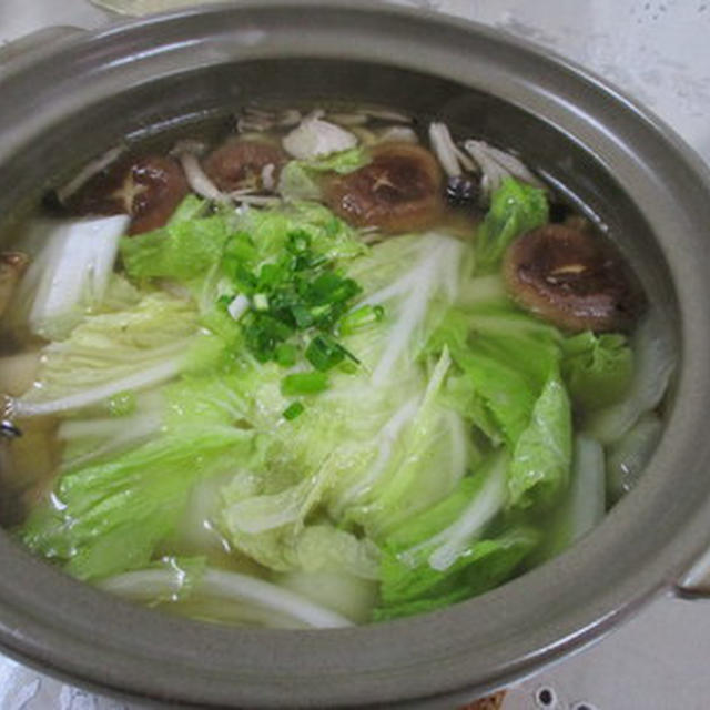 野菜たっぷり鳥塩鍋★★★