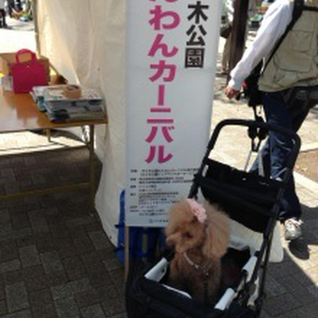 モーレアとデート！！