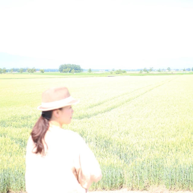 北海道から秋のイベント開催のお知らせ