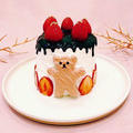 食パンで作れる！かわいいクリスマスケーキの簡単レシピ by 伊賀 るり子さん