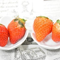 【おおいたクッキングアンバサダー】大分県産いちご”さがほのか””ゆふおとめ”＜PR＞”