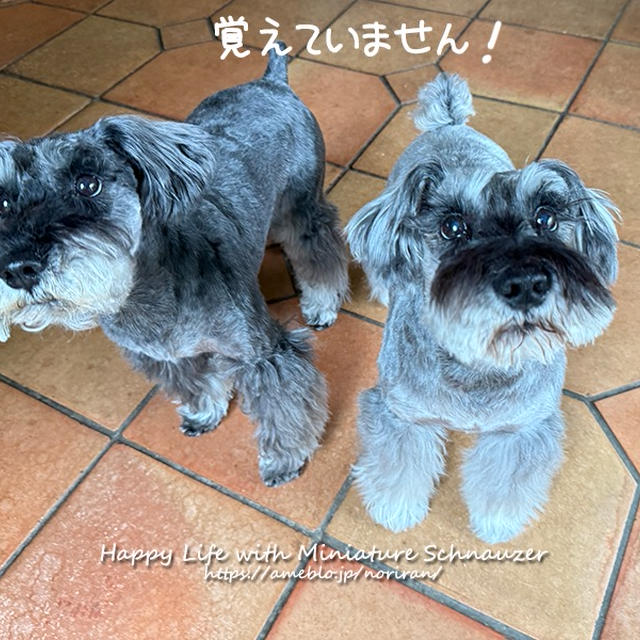 犯人は誰?!