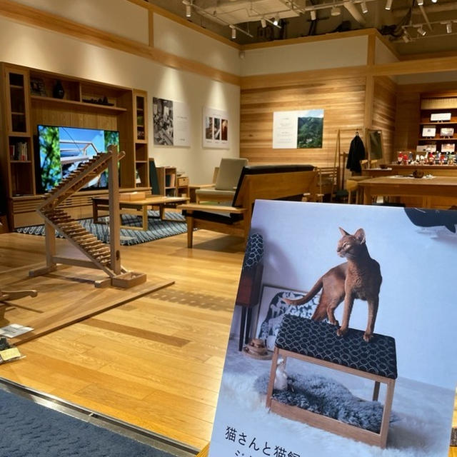 ジゼルトモモの猫グッズ展@自由が丘&青山へ行ってきました♪