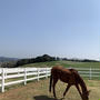 NASU　FARM VILLAGE　＋　THE KEY　HIGHLAND NASU