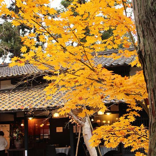 新潟市秋葉区　中野邸のカフェ「朝日奈」