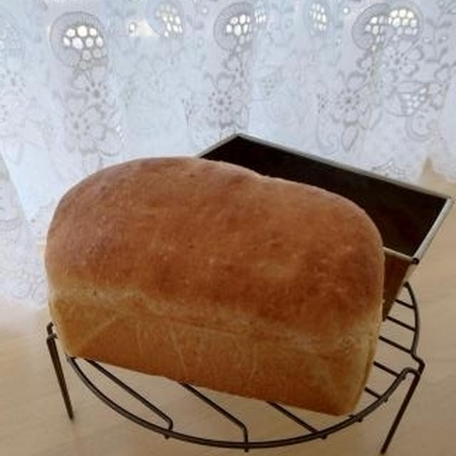 糀甘酒醤油麹全粒粉ミニ食パン🎵