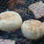 0901・青空ＢＢＱ♪