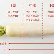ダイコンとネギ