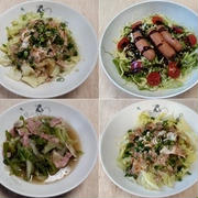 お気に入りの野菜料理のローテーション：野菜食日記[2785]-[2788]