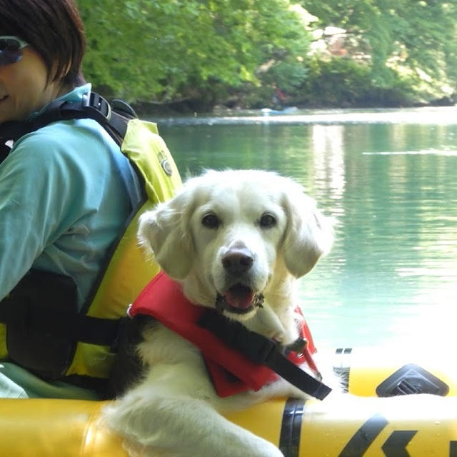 四万湖で犬連れカヌー（群馬県）