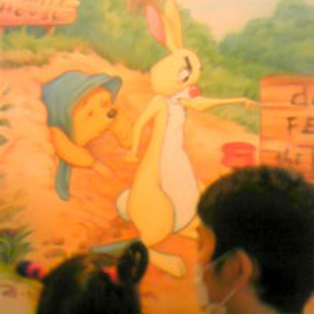 ディズニーランド来ました