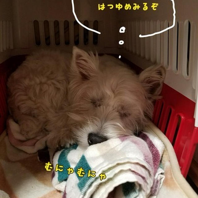 時間に正確なぼく。