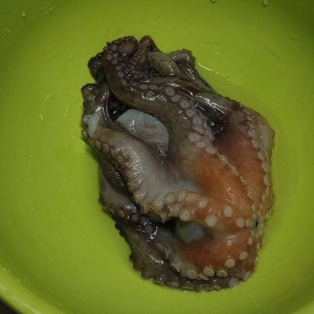 タコ