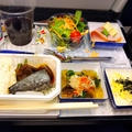ANAとUnited航空　こんなにも違う機内食
