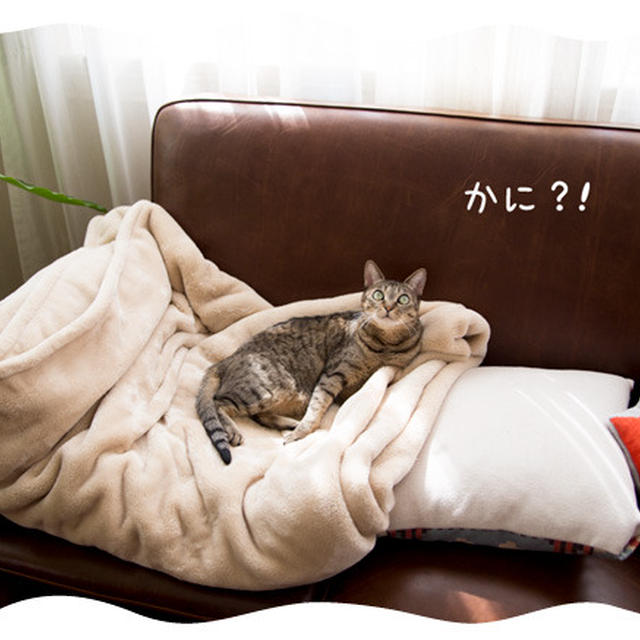 連休おしまい