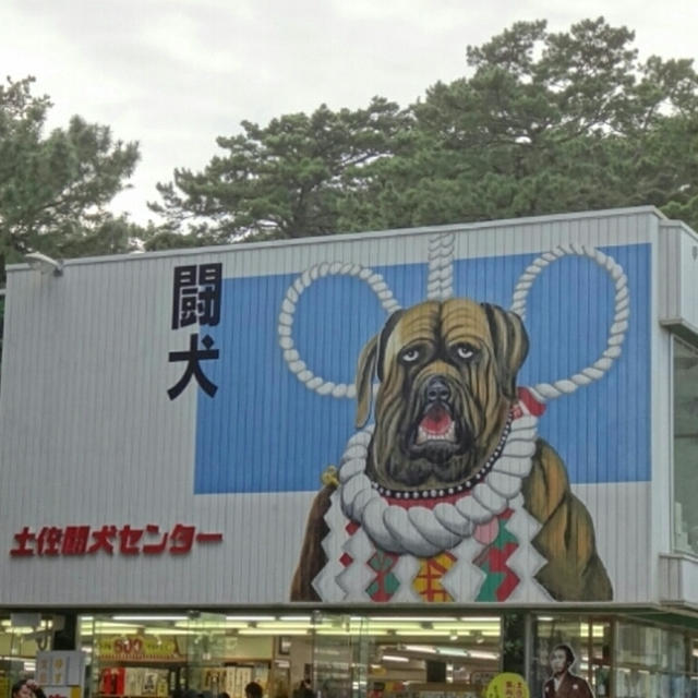 こうすけ・花子 IN 桂浜★