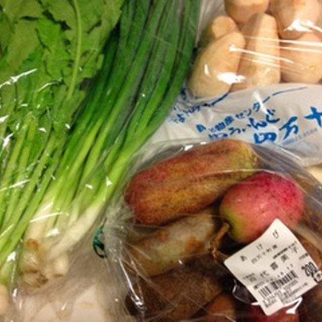 今日は四万十町で買った野菜のメニュー♪