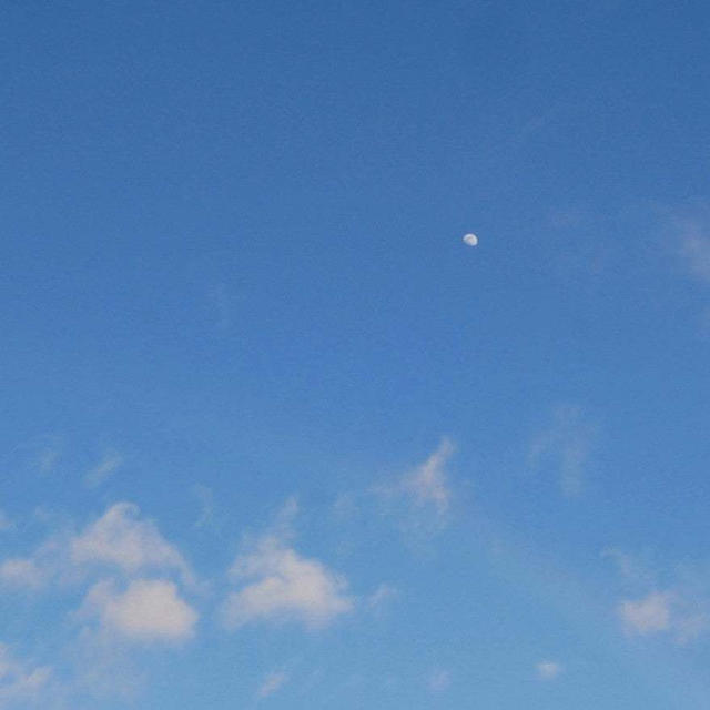 月と虹#最近撮った写真は
