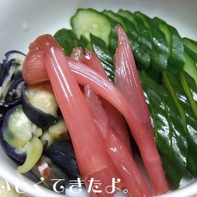 茎みょうがの甘酢漬け By なめっぴさん レシピブログ 料理ブログのレシピ満載
