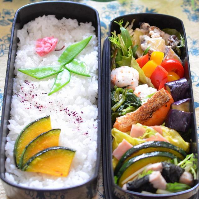 今日のパパ弁当は春爛漫(^^♪