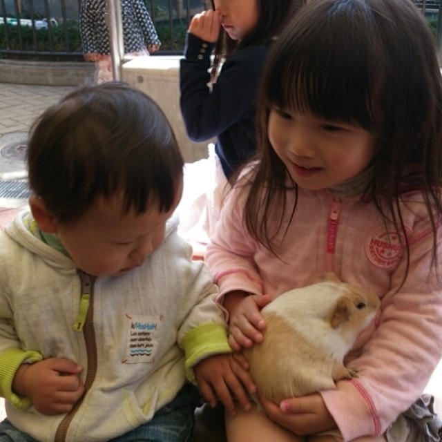 久しぶりの動物園☆