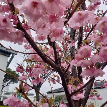 “わたしらしく生きる”ライフスタイルの話