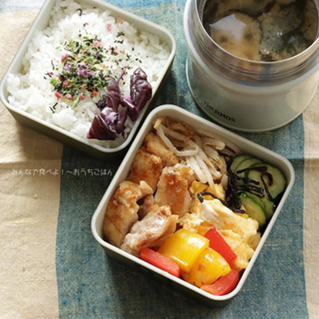 鶏もも肉のタレ焼きときゅうりの塩昆布和え～食べざかり中高生男子のお弁当