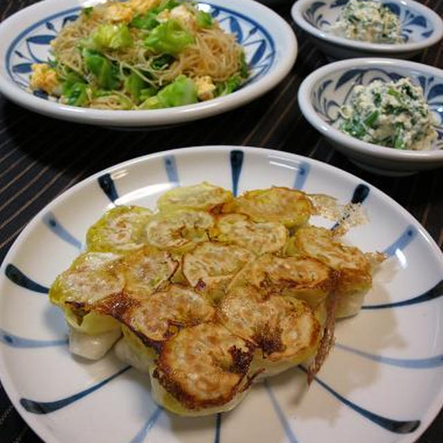 高菜と豚ひき肉の焼き餃子と春色ビーフン♪