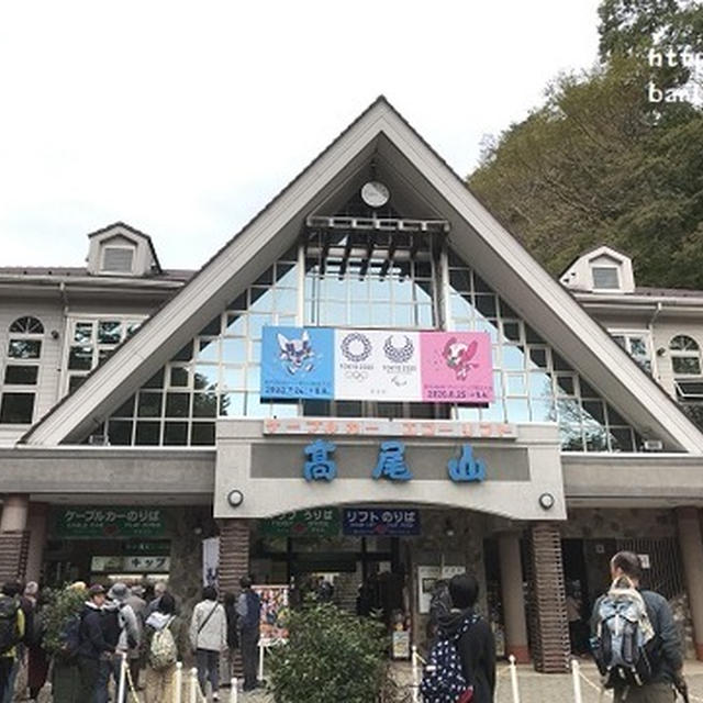 高尾山登山。（・・・登山、と言うよりピクニック、だな。）