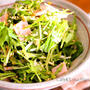 【圧倒的食べやすさ！】素材一品だけレシピ、ゴマが決め手の水菜のサラダ