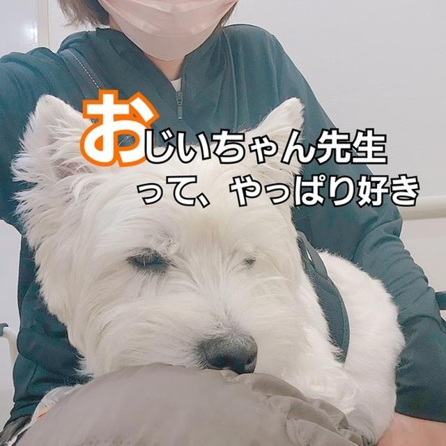 おじいちゃん先生のところへ行く。