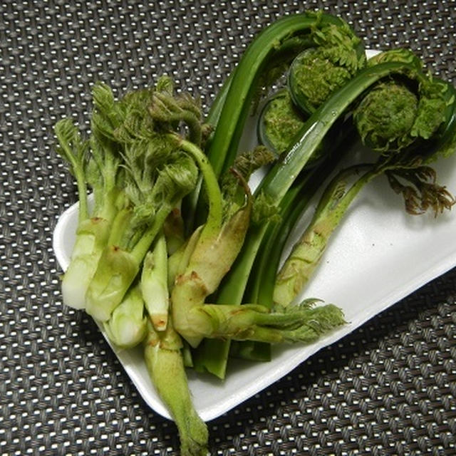 春の味覚