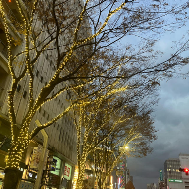 夜の名古屋城へ散歩に行く、アートサイト名古屋城