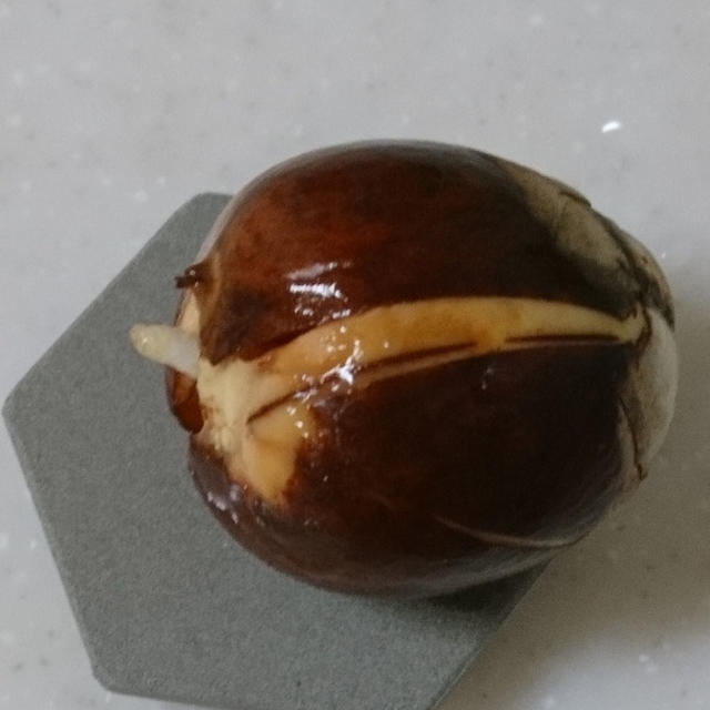 ついに！