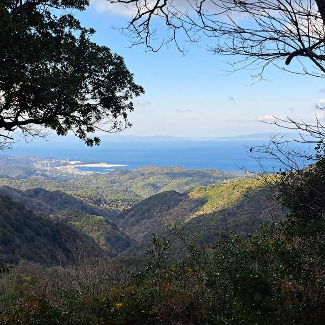 今日も山