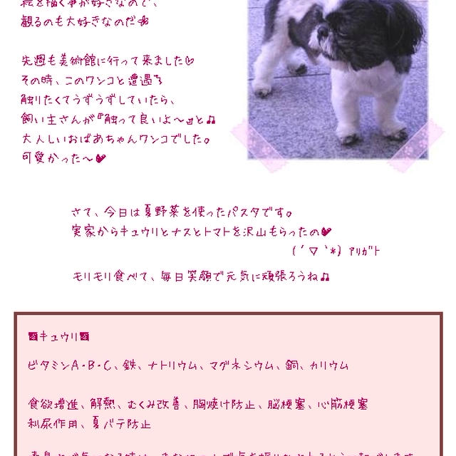 簡単■太陽いっぱい【夏野菜パスタ】 ■ｷｭｳﾘ・ﾄﾏﾄ・ﾅｽ(ﾉ*･ω･)ﾉ恵み