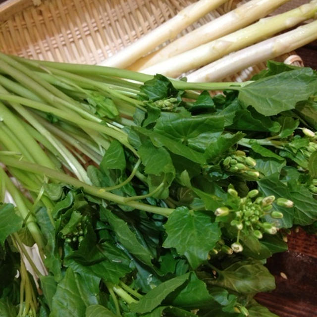 今しか見ない春野菜のホワイトアスパラと花わさびで思いつきヘルシーあて料理！