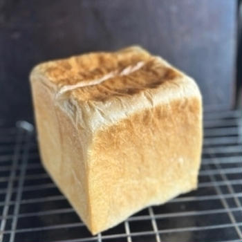 毎朝を毎日焼いた。