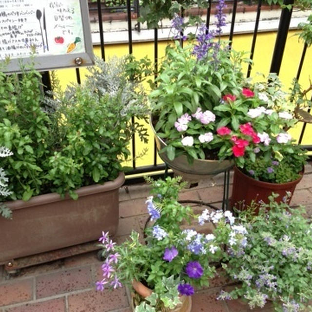 素敵な朝☆アルマーニカフェ表参道