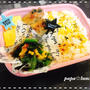 パパ弁当★簡単エリンギと大葉の豚肉巻き弁当