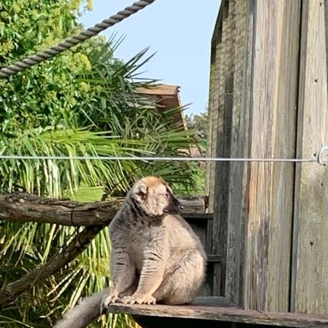 動物を絶滅から守る使命
