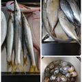 江の島の魚と夫料理
