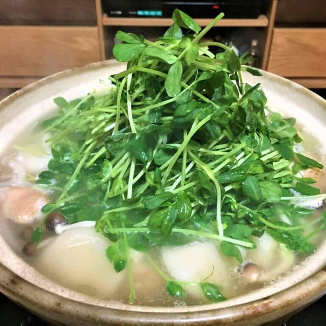 豆苗たっぷりマウンテン鍋のレシピ