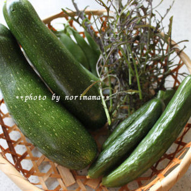 お庭の野菜でラタトゥイユ♪
