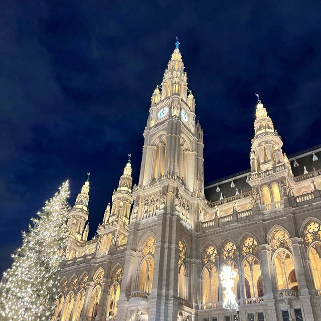 ウィーン旅行記：その１　クリスマスマーケット