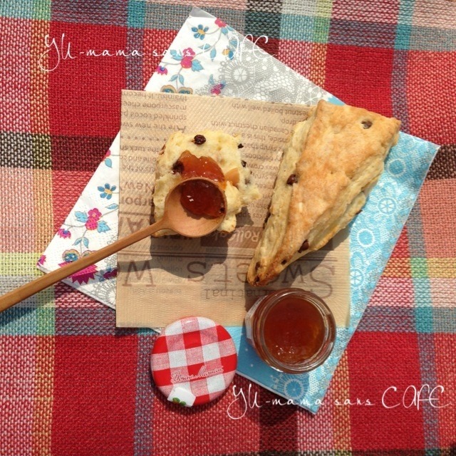 公園へピクニック！
